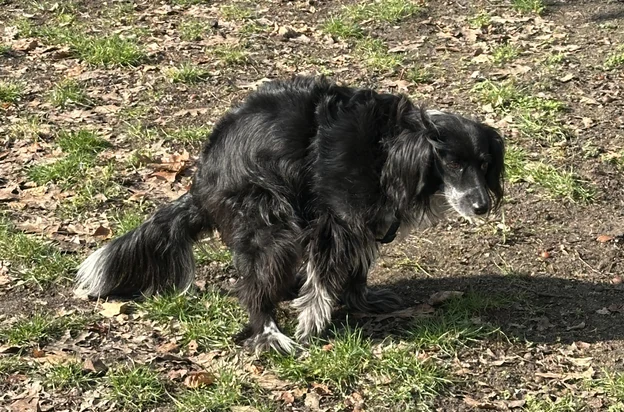 üzüm at the park