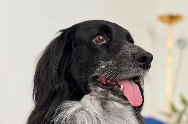 üzüm smiling at home