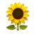 https://www.kagan.in/favicon.ico